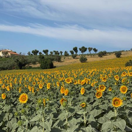 Girasole Apartment San Marcello  Luaran gambar