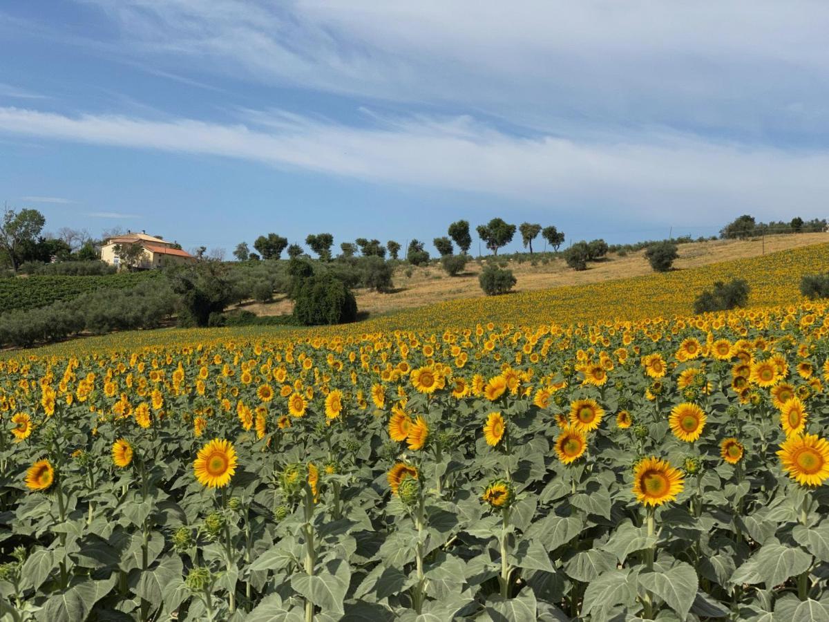 Girasole Apartment San Marcello  Luaran gambar
